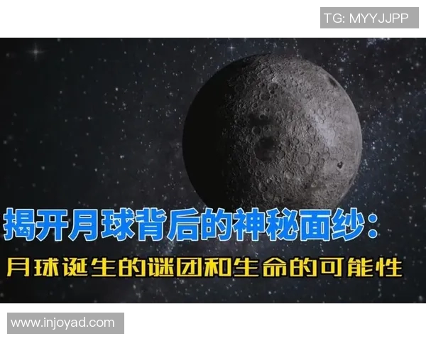 足球球星背后的谜团为何总是引发热议他们的职业生涯和私人生活有哪些未解之谜